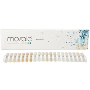 GUIDE COULEUR MOSAIC