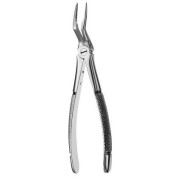 FORCEPS N.97 EUROP MS RACINES