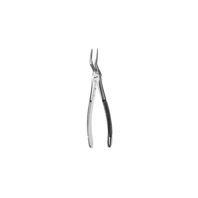 FORCEPS N.97 EUROP MS RACINES