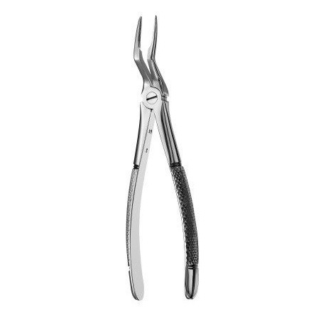FORCEPS N.97 EUROP MS RACINES