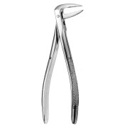 FORCEPS N.233 EUROP MI RACINES