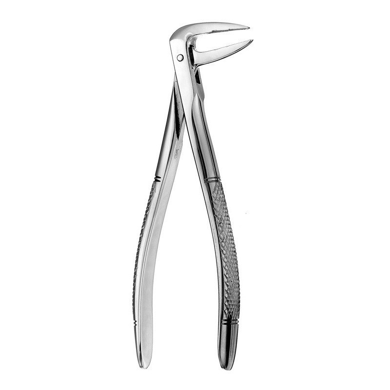 FORCEPS N.233 EUROP MI RACINES
