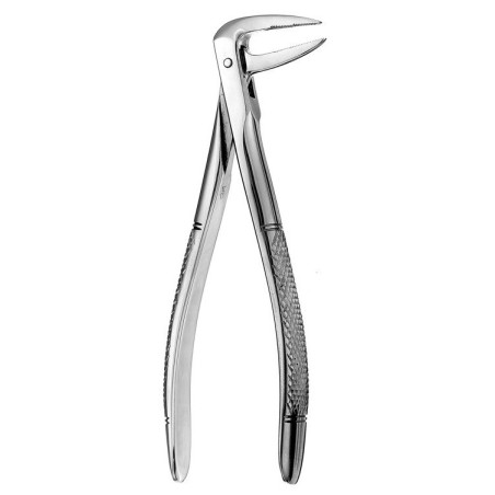 FORCEPS N.233 EUROP MI RACINES