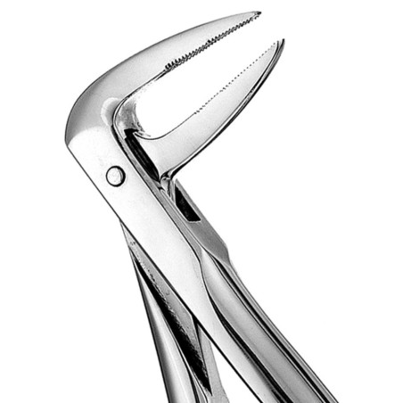 FORCEPS N.233 EUROP MI RACINES
