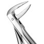 FORCEPS N.233 EUROP MI RACINES