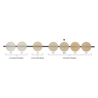 TRANSCEND ECONO KIT SERINGUE