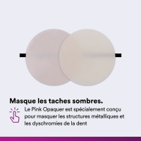 FILTEK UNIVERSAL RESTORATIVE Seringue 4 g