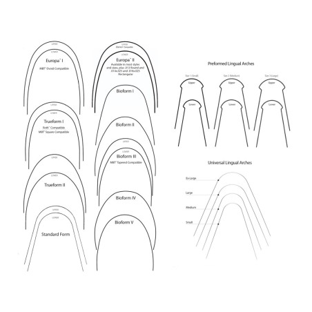 ARC NITI EUROPA II SUPERÉLASTIQUE AVEC PRÉCOUPLE SUPÉRIEUR 34 mm 5 pièces
