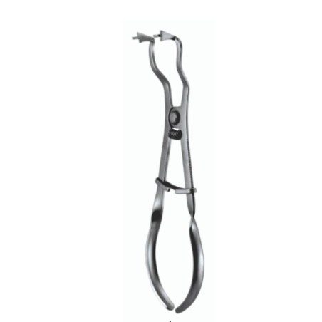 PORTE CLAMPS TYPE IVORY PREMIUM