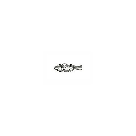 Fraises Diamant Turbine Grain Extrafine 368 EF-016 Balón Rugby 5 Unites