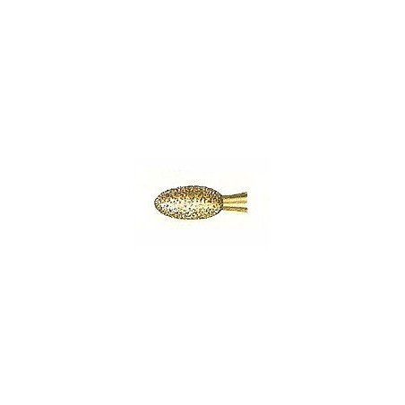 Fraises Diamant Turbine Serie 2000 2379-023 Ovale 5 Unites