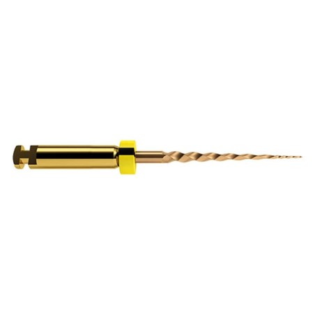 LIMES PROTAPER GOLD 19 mm. SX