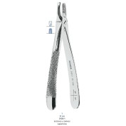 FORCEPS INCISIVE Nº1 ASA