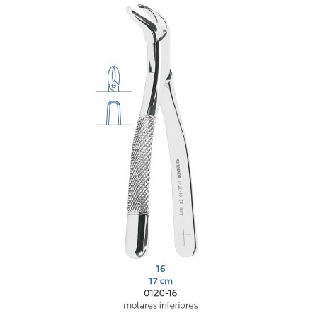 FORCEPS MOLAIRE INFERIEURE Nº16 ASA