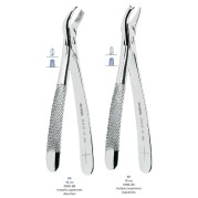 FORCEPS MOLAIRES SUPERIEURES ASA