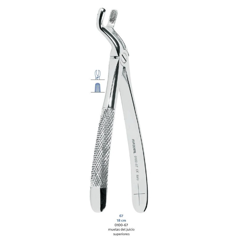 FORCEPS Nº67 ASA