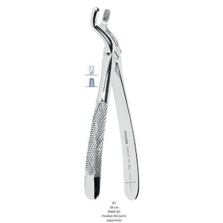FORCEPS Nº67 ASA