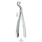 FORCEPS Nº67 ASA