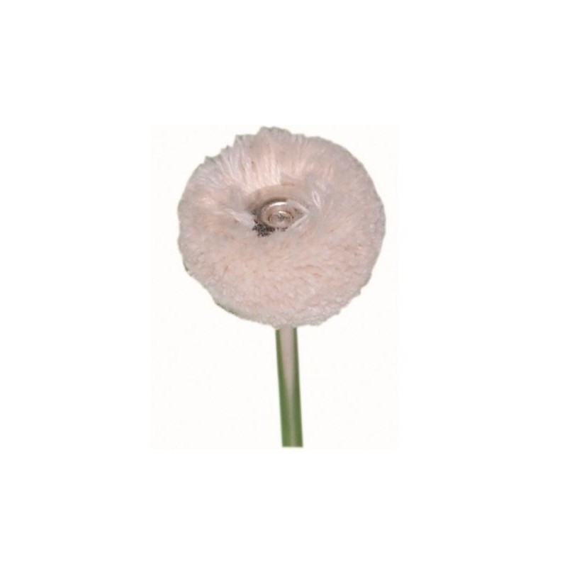 BROSSE BORREGUITO 22 mm 12 Unites