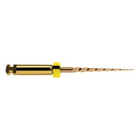 LIMES PROTAPER GOLD 19 mm. SX