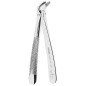 FÓRCEPS DE EXTRACTION FIG.8 PREMOLAIRES INFERIEURES